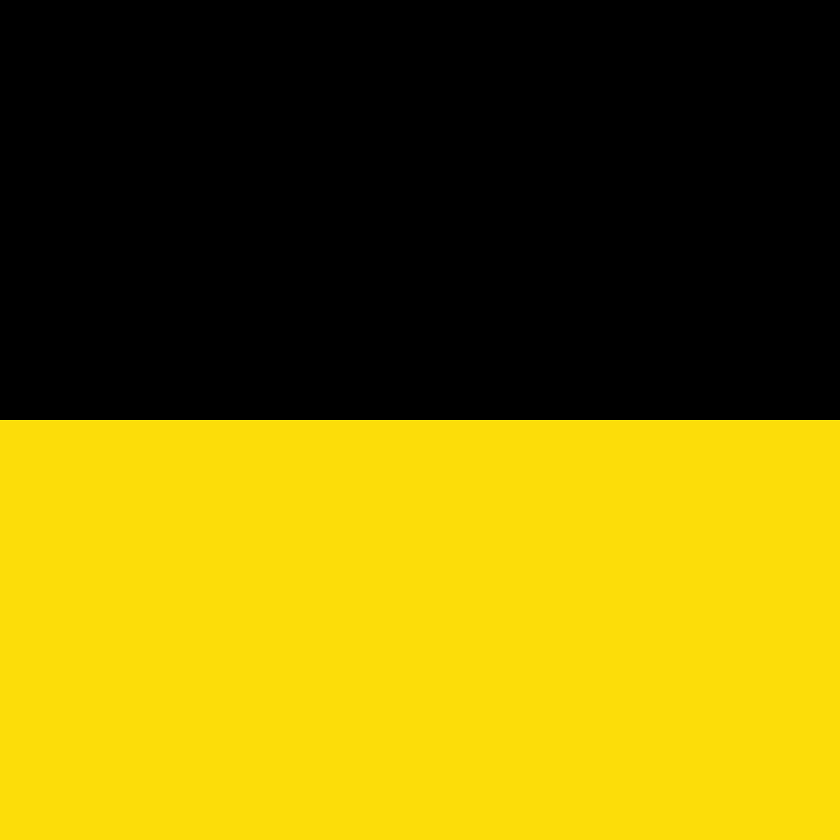 Munich Mandalorians